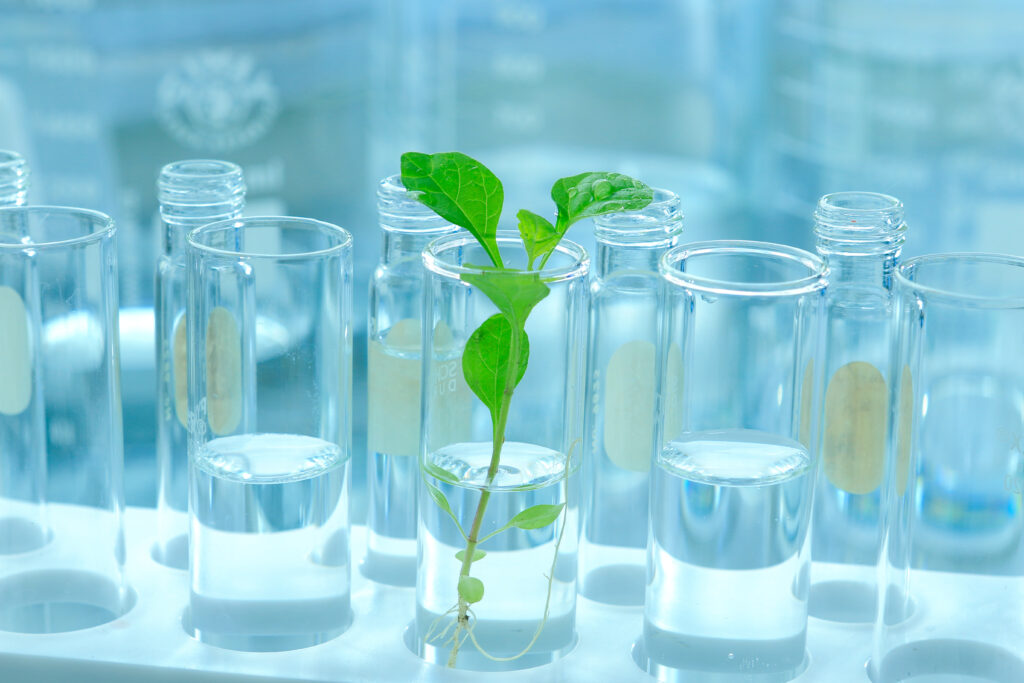 drug production in France