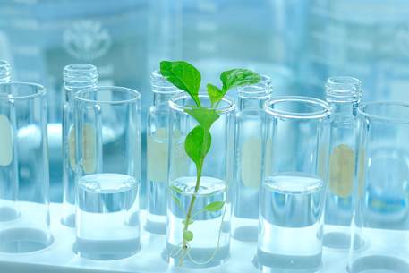 Laboratory PHARMACEUTICAL LACTOSE